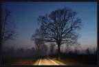 scattata da ' dentro ' l'auto.. mentre guidavo verso la notte, nel silenzio, nella solitudine di un fine settimana un po' cos.....