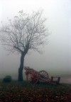 Il carretto