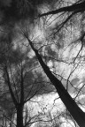 verso il cielo verso il cielo