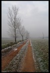 da questa strada prima o poi arriverà la primavera... da questa strada prima o poi arriverà la primavera...