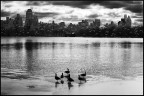 Central Park - NYC