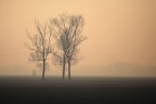 paesaggio padano con nebbia paesaggio padano con nebbia