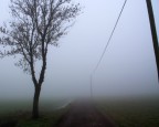 Nebbia in pianura Nebbia in pianura