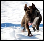 Ghiaccio e Menta Ghiaccio e Menta