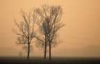 paesaggio padano con nebbia modificata paesaggio padano con nebbia modificata