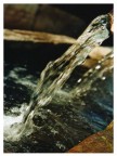 Acqua Acqua