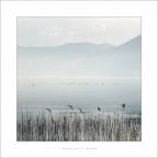 rifugio per l'anima rifugio per l'anima