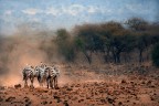 Lost Africa Lost Africa