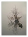 riflesso riflesso