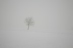 La solitudine La solitudine