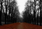 a novembre a novembre