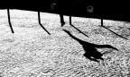 il saltatore di...automobili il saltatore di...automobili