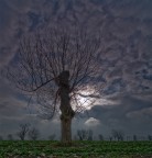 Tempestoso.. Tempestoso..