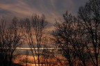 Una scia tra gli alberi Una scia tra gli alberi