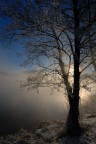 Nebbia Nebbia