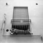 cagnone in siesta cagnone in siesta