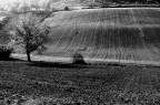 Fields#1 Fields#1
