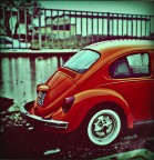 Half beetle Half beetle