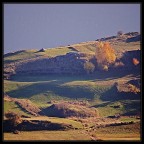 luci d'autunno luci d'autunno