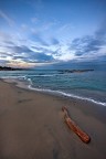 Venuto dal mare Venuto dal mare