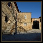 l'anima dell'albero che fu' l'anima dell'albero che fu'