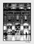Milano Galleria Milano Galleria