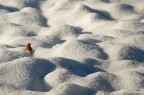 Perso tra le dune Perso tra le dune