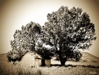 In my place...