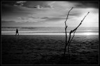 The Path of Life The Path of Life