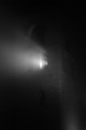 Nebbia #1 Nebbia #1