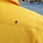 Coccinella a Berlino Coccinella a Berlino
