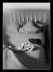 Amore e Passione