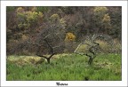 Natura Natura
