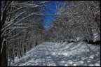 Monte Livata Monte Livata