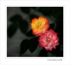 Punti colore.... Punti colore....