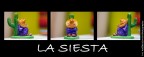 La Siesta La Siesta