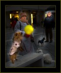 Yorkshire Ballon.. Yorkshire Ballon..