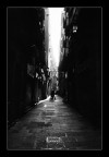 (contro)Luce (contro)Luce