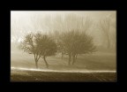 Presenze invernali