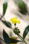 Inverno: Cornici naturali