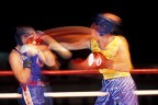 Mitica boxe Piovese