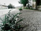 il pollice verde di madre natura il pollice verde di madre natura