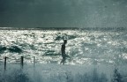 Un tuffo in mezzo alla tempesta Un tuffo in mezzo alla tempesta