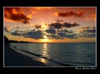 Alba Alba