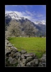 scatto durante una passeggiata