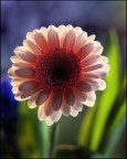 Luce e colori...