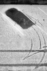 spermatozoo spermatozoo