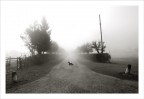alba con nebbia alba con nebbia
