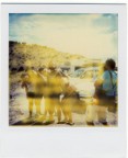 Beli 2008 Beli 2008
