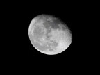 Luna Luna
